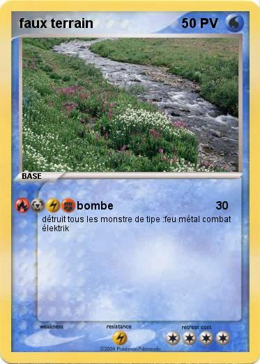 Pokemon faux terrain