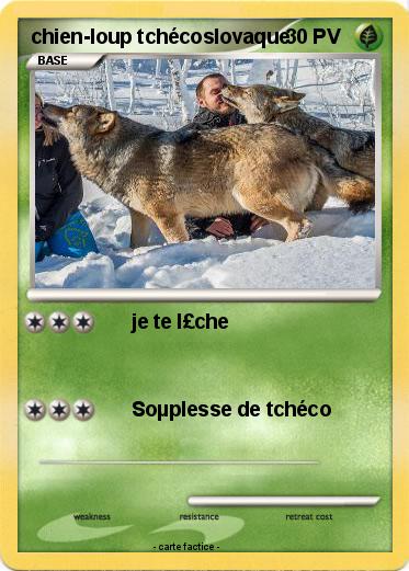 Pokemon chien-loup tchécoslovaque