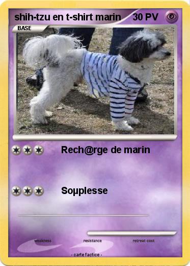 Pokemon shih-tzu en t-shirt marin