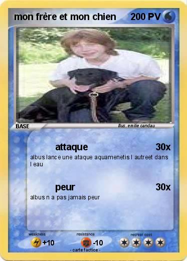 Pokemon mon frère et mon chien