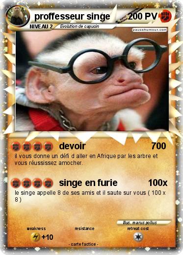Pokemon proffesseur singe