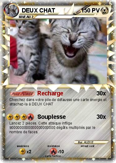 Pokemon DEUX CHAT