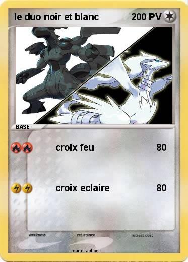 Pokemon le duo noir et blanc