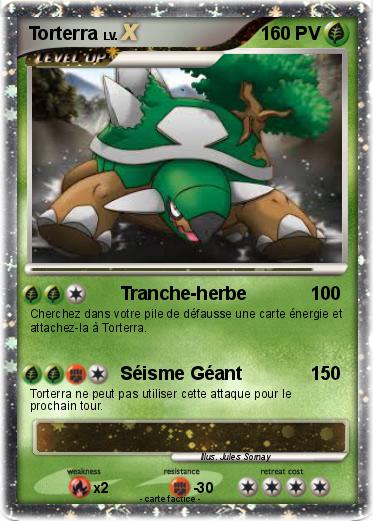 Pokemon Torterra