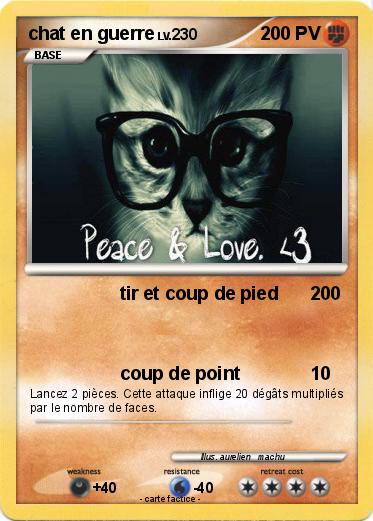 Pokemon chat en guerre