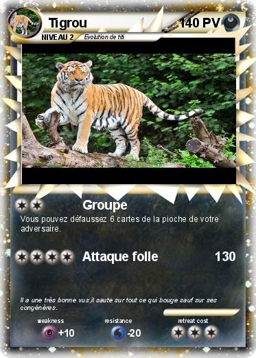 Pokemon Tigrou