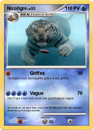Pokemon Nicotigre