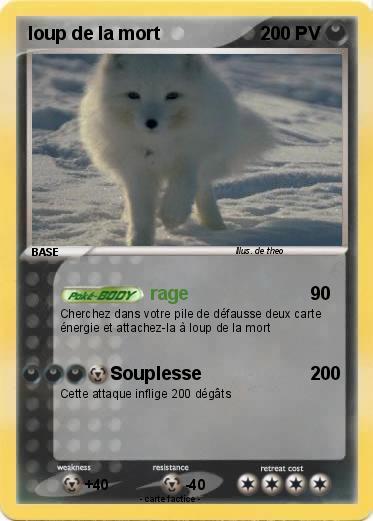 Pokemon loup de la mort