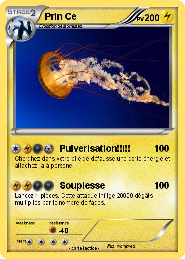 Pokemon Prin Ce
