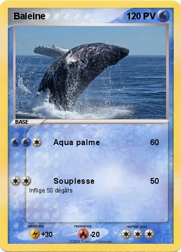 Pokemon Baleine 