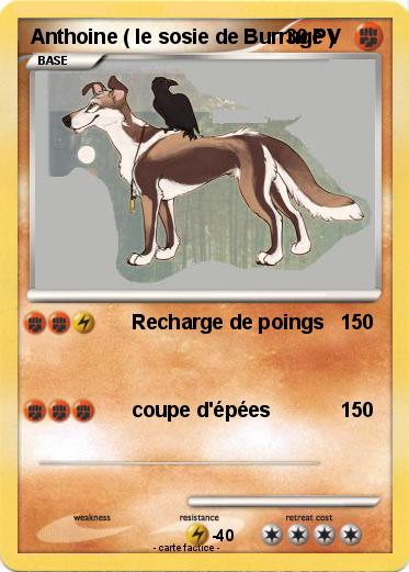 Pokemon Anthoine ( le sosie de Burruge )