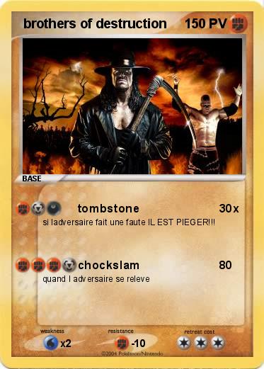 Pokemon  brothers of destruction