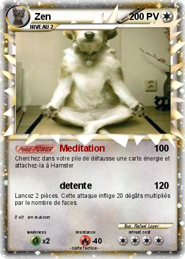 Pokemon Zen
