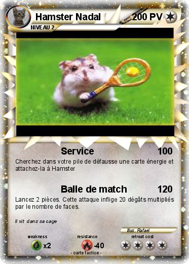 Pokemon Hamster Nadal