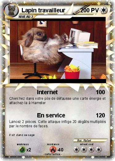 Pokemon Lapin travailleur