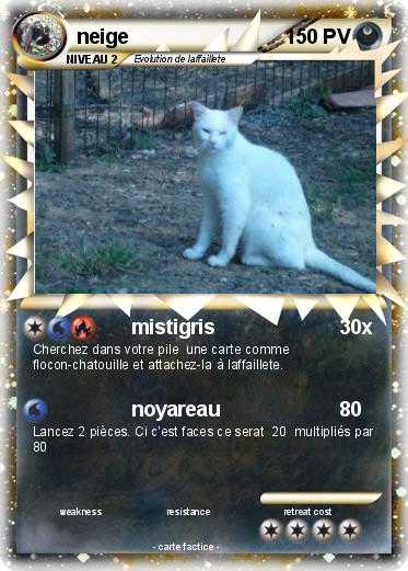 Pokemon neige