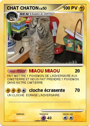 Pokemon CHAT CHATON
