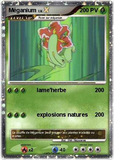 Pokemon Méganium