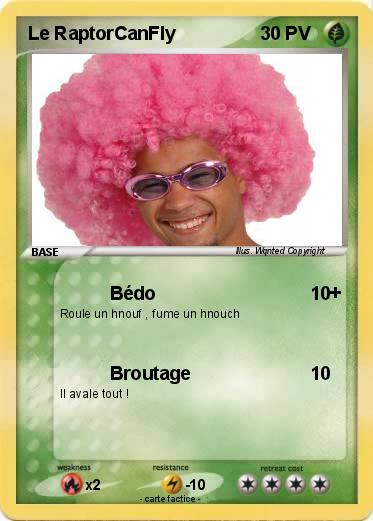 Pokemon Le RaptorCanFly
