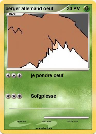 Pokemon berger allemand oeuf
