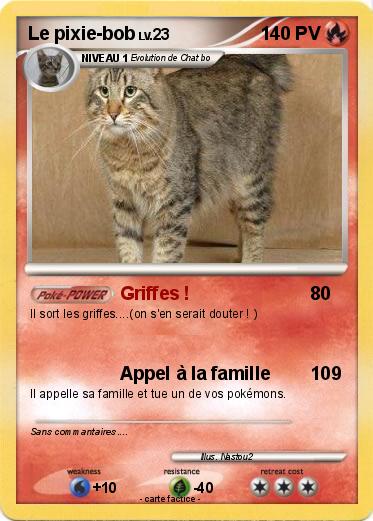 Pokemon Le pixie-bob