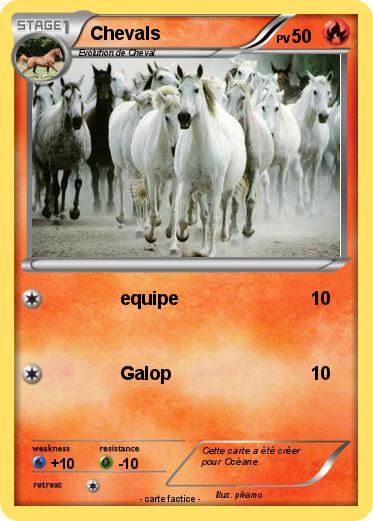 Pokemon Chevals