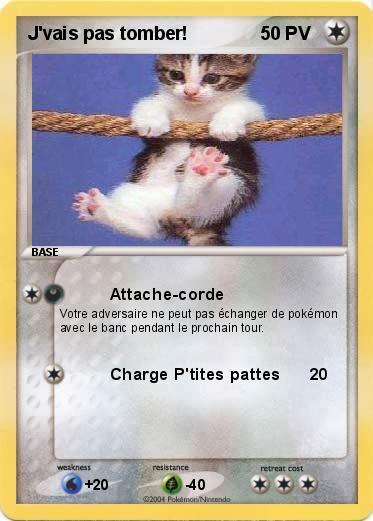 Pokemon J'vais pas tomber!