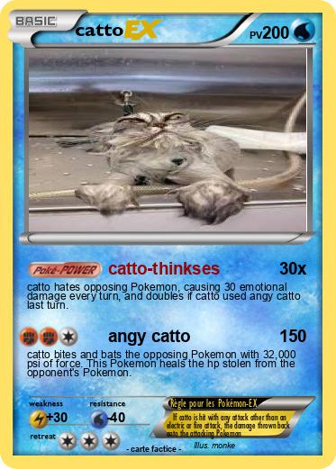 Pokemon catto