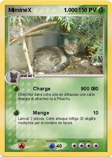 Pokemon MimineX                     1.000.