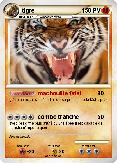 Pokemon tigre