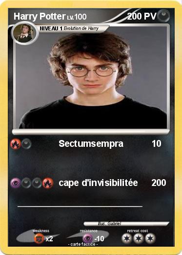 Pokemon Harry Potter