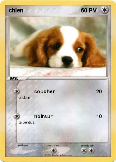 Pokemon chien