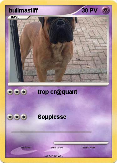 Pokemon bullmastiff