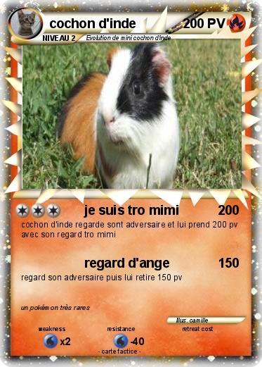 Pokemon cochon d'inde