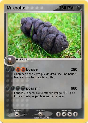 Pokemon Mr crotte                            2