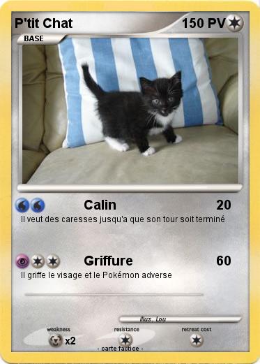 Pokemon P'tit Chat