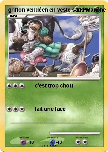 Pokemon griffon vendéen en veste sans manche