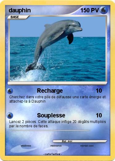 Pokemon dauphin