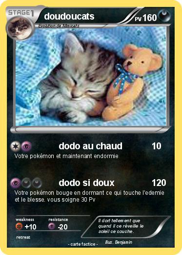 Pokemon doudoucats