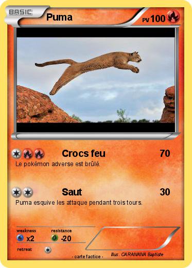 Pokemon Puma