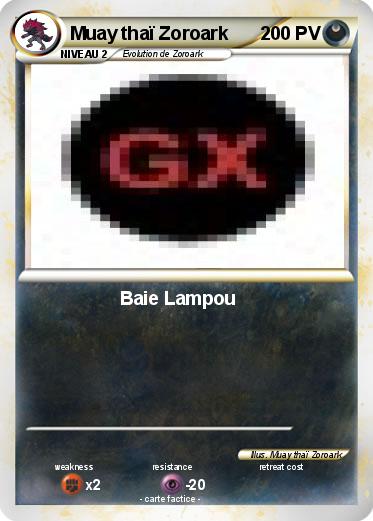 Pokemon Muay thaï Zoroark