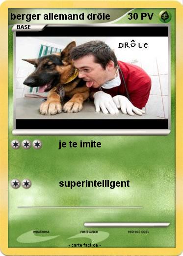 Pokemon berger allemand drôle
