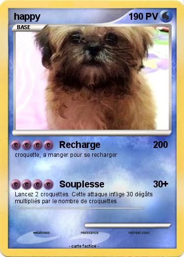 Pokemon happy
