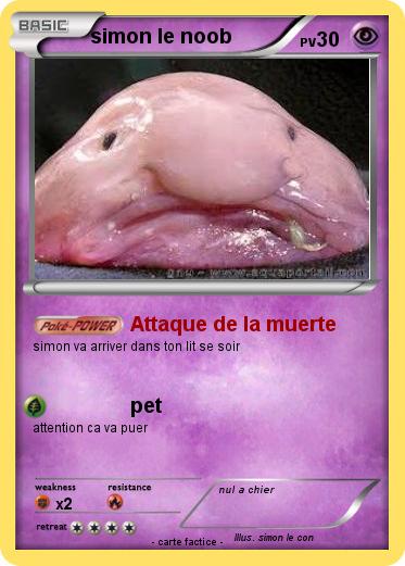 Pokemon simon le noob