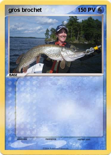 Pokemon gros brochet
