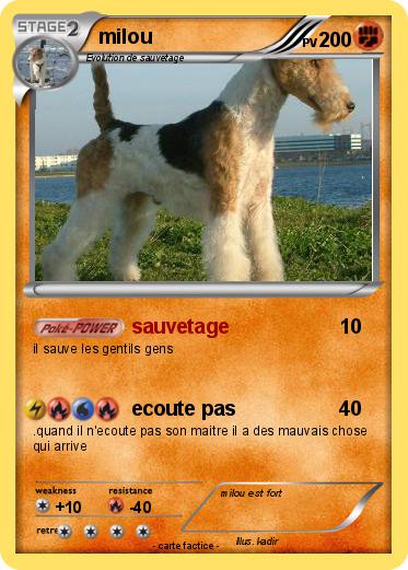 Pokemon milou