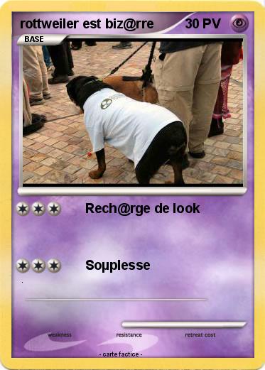 Pokemon rottweiler est biz@rre
