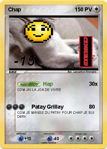 Pokemon Chap