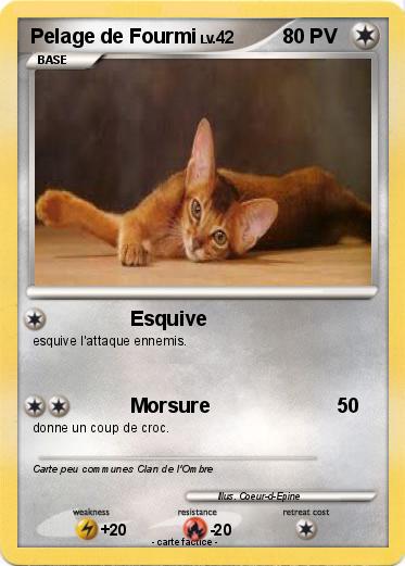 Pokemon Pelage de Fourmi