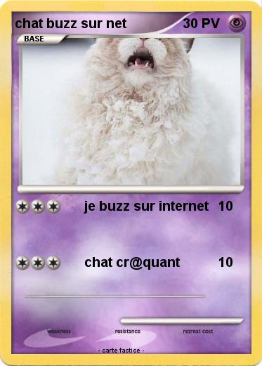 Pokemon chat buzz sur net